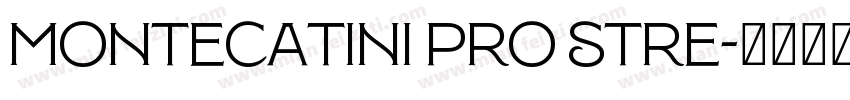 Montecatini Pro Stre字体转换
